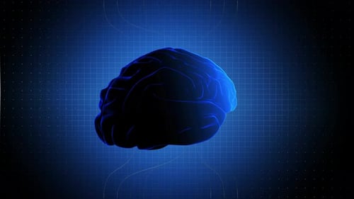 Brain Rotating In Dataflow. Looped Abstract Animation Loop