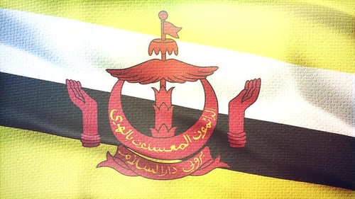 Textured Waving Brunei Darussalam National Flag Loop Animation