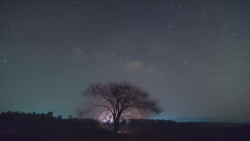 Milky Way Galaxy moving over tree ridge.