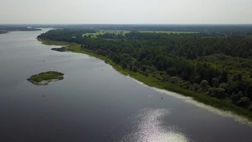 Wild Nature Of The Lake Zaronovo 22