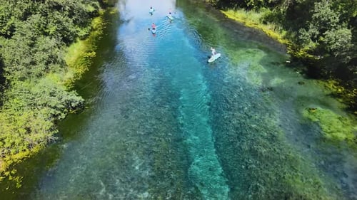 Groups tourists row on paddle boards. River bottom is visible through water
