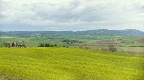 A Bright Green Meadow Under the Blue Sky