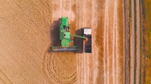 Impressive Flight Over a Working Combine Harvesting Tons of Ripe Barley