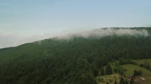 Mystic and Foggy Drone Flight Over the Rainforest in Mountain. Panorama View