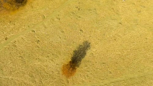 Colorful Autumn Forest