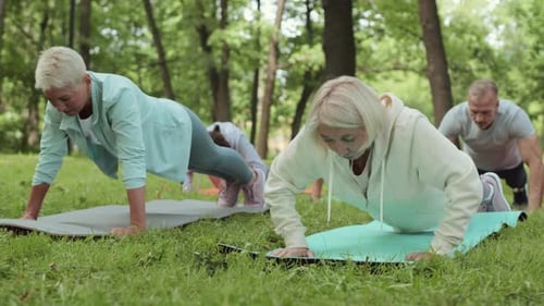 Adults Exercising Together Doing Pushups in Park
