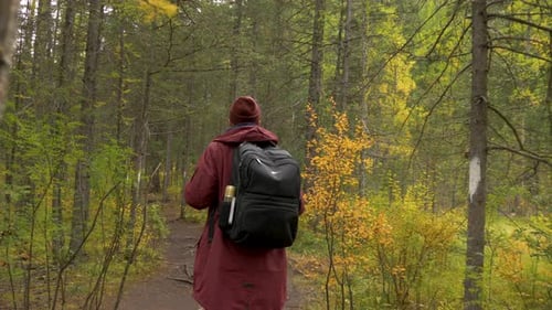 Backpacker Walks in Forest, Back View