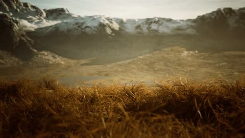 Dry Grass and Snow Covered Mountains in Alaska