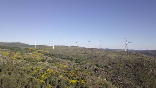 Wind Power