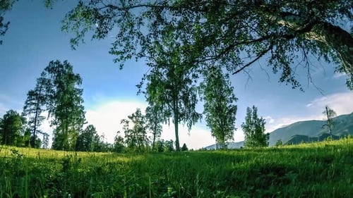 Mountain Meadow Timelapse at the Summer or Autumn Time