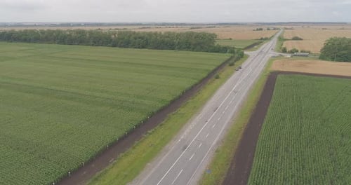 Aerial view of road between green lands