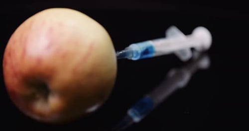 Food Genetic Modification - Syringe Injecting Liquid in Apple.