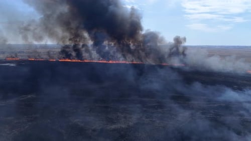 Dangerous for Environment, Large Wildfires Fast Moving By Dry Meadow with Smoke Going Up To Sky Near