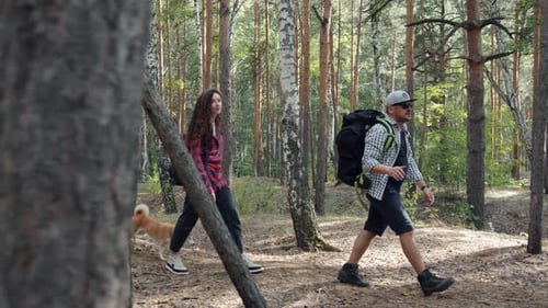 Mixed Race Group of People Walking in Forest with Doggy Enjoying Nature and Healthy Activity
