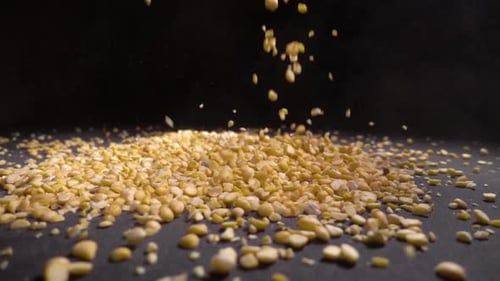 Yellow Split Peas Falling on Dark Surface