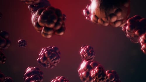 Animated 3D Red Biological Cell Clusters Background