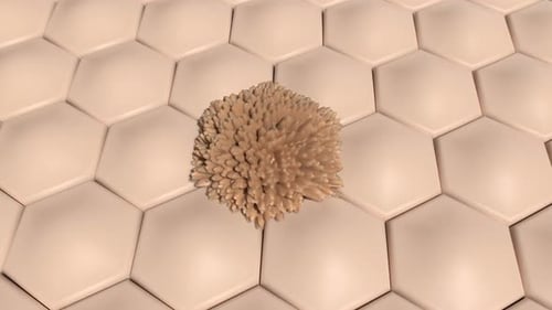 3D Cellular Growth Animation for Medical Science