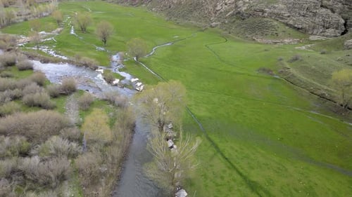 river grass spring nature