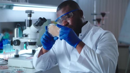 Scientist Examining Petri Dish in Brightly Lit Laboratory