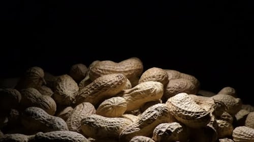 Peanuts Legume Food in a Mountain Gyrating