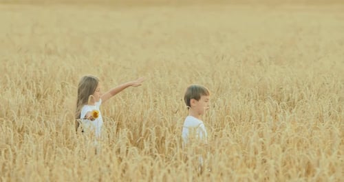 Pretty Girl with Long Hair is Walking Across the Field