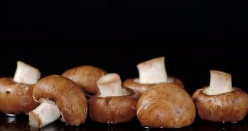 Fresh Brown Mushrooms on a Black Surface