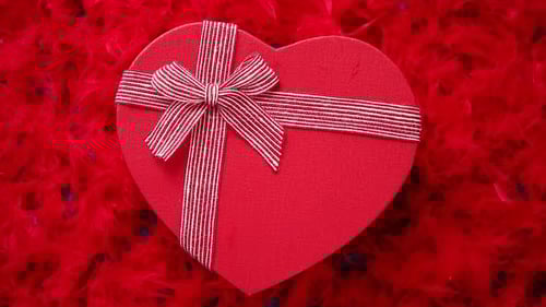 Red Heart Gift Box on Feather Background