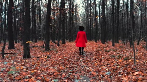 Young woman walking alone along trail in autumn forest. Back view. Travel, freedom, nature concept