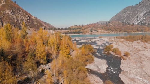 Aerial View of Mountain Landscape of Autumn Forest on the River