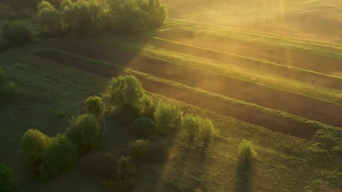 Morning Fog in the Field with a Beautiful Shadow. View From Above
