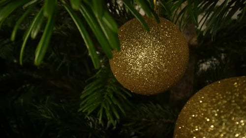 Sparkling Golden Christmas Tree Ornaments on Evergreen Tree