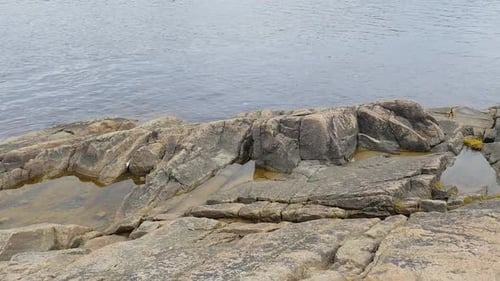 Rocky Shoreline and Calm Ocean on Overcast Day