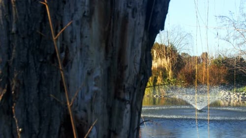 Springbrunnen Pool Im See Hinter Dem Baum