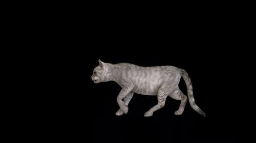 Katzen-Spaziergang