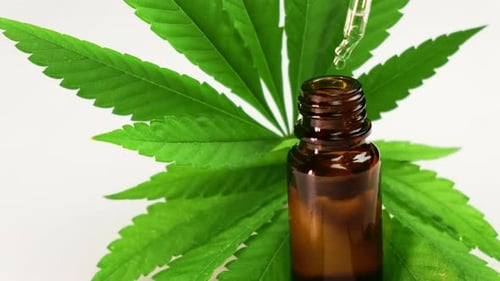 Cannabis Oil Dropper Filling Brown Bottle
