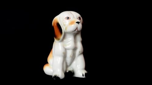 Shooting of a Statuette of a Dog