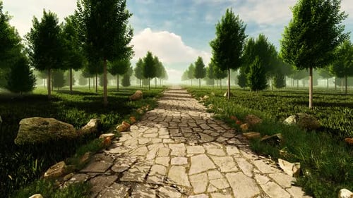 The Road in The Park