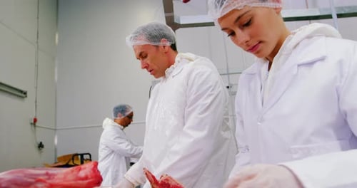 Meat Processing in a Commercial Food Factory