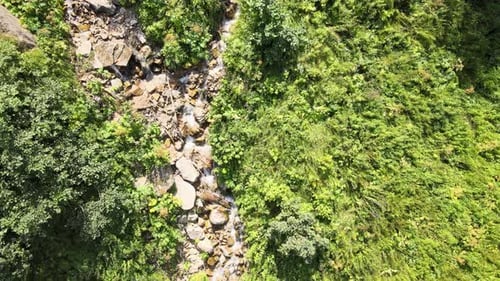 Wasserstrom Natur