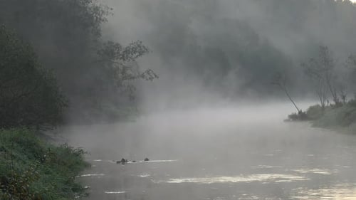 Fog. Night