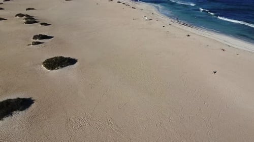 spain canary islands beach CORALEJO