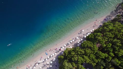 Vertical View of the Sea Coast with Sun Umbrellas and Sun Beds From Drone at Sunset