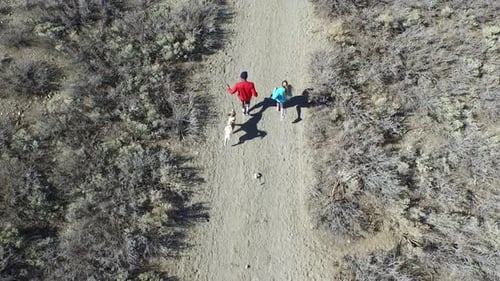 Aerial shot of a young man and woman trail running with dog on scenic mountain trail.