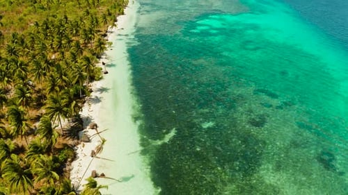 Tropical Island with Sandy Beach