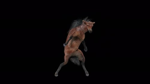 Brown 3D Horse Dancing and Walking Character Animation