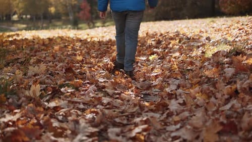 Child Walks Through Golden Autumn Leaves in Park