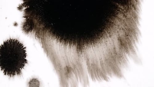 Black Ink Bloom on White Background