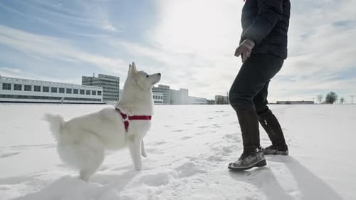 Weißer Hund, der mit Besitzer im Schnee läuft