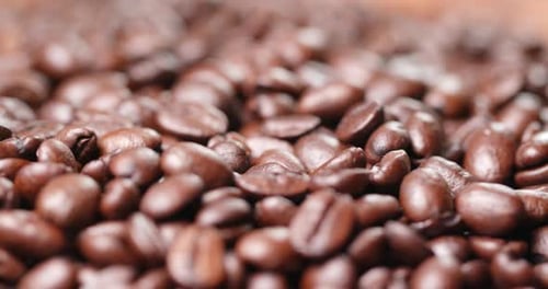 Close Up of Roasted Coffee Beans