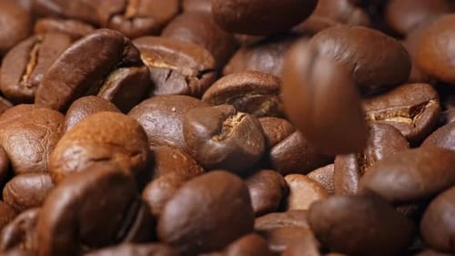Close Up of Dark Brown Coffee Beans